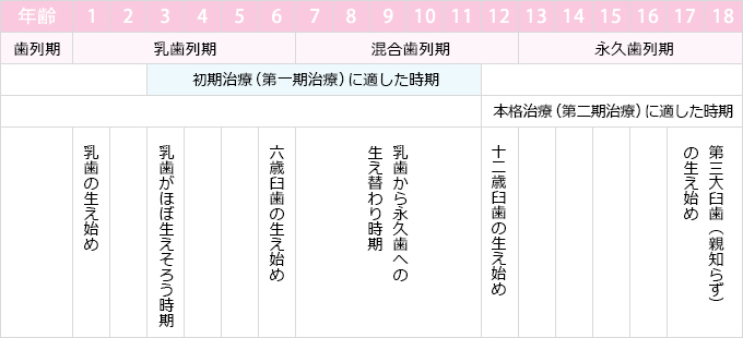 年齢と矯正治療の時期